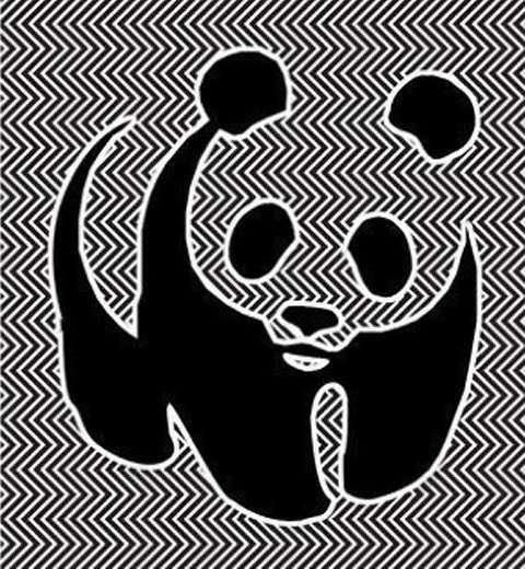 panda-cvp