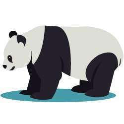 panda