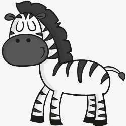 zebra