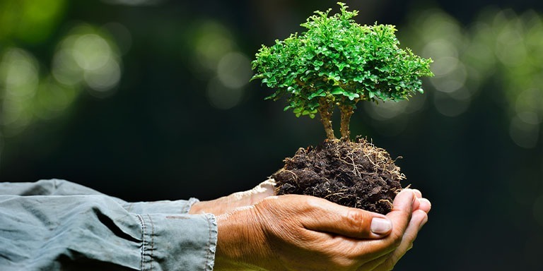 Minimalist Bir Hayat Tarzı Yaşamanın Faydaları