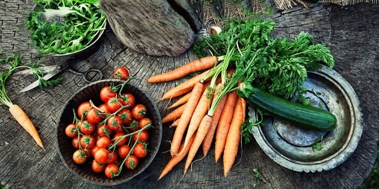 Pişmemiş Besinlerin Mucizesi Raw Food Hakkında Her Şey