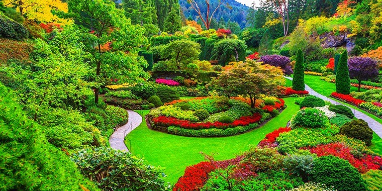 Renkleriyle Doğaseverleri Büyüleyen En Güzel Botanik Bahçeleri