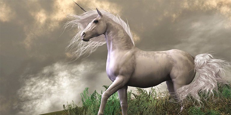 Efsanevi At Unicorn’lar Hakkında Fantastik Gerçekler