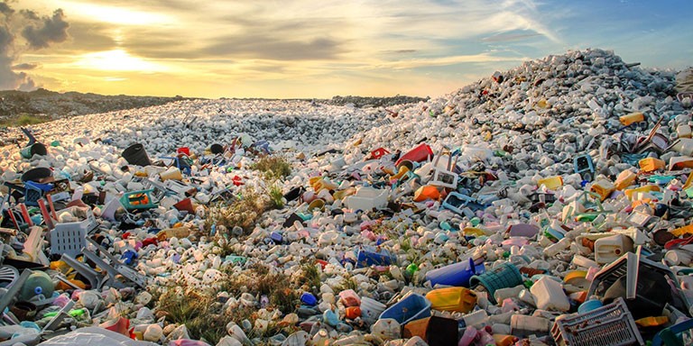 Doğada Kaybolmayan Plastik Atıkların Zararı Hakkında Tüm Gerçekler