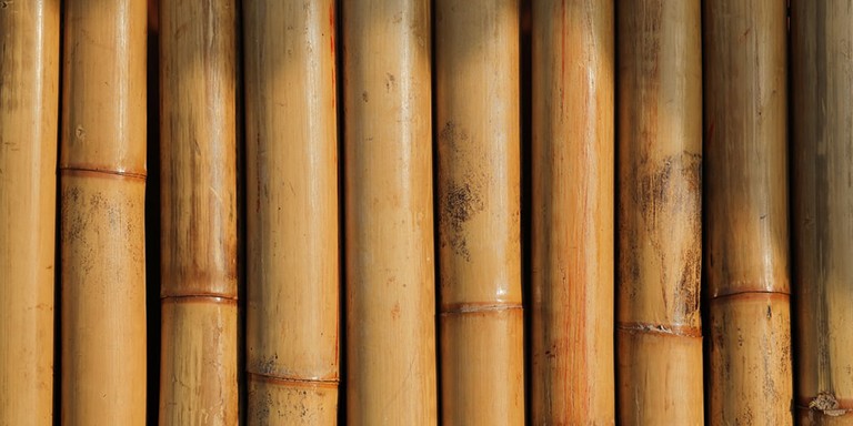 İklim Krizi Mücadelesinde Bambu Kullanımının Önemi
