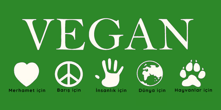 Vegan Olmak Hakkında Doğru Bilinen Yanlışlar
