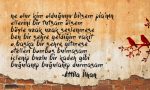 pia-siirinin-oykusu