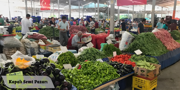 Tatil Cenneti Dikili'ye Gitmek İçin 10 Neden