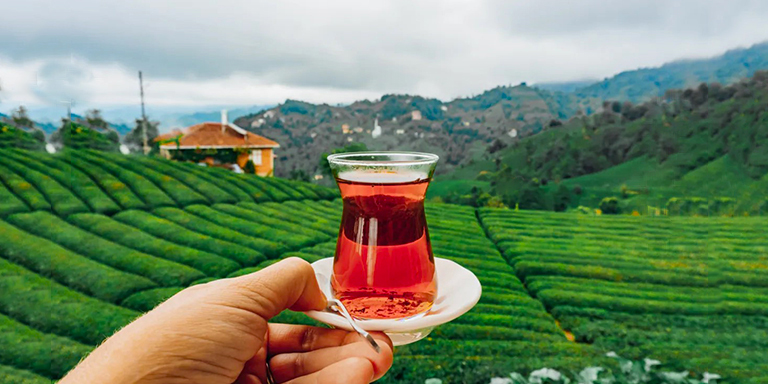 Günlük Çay İçmenin Az Bilinen Faydaları